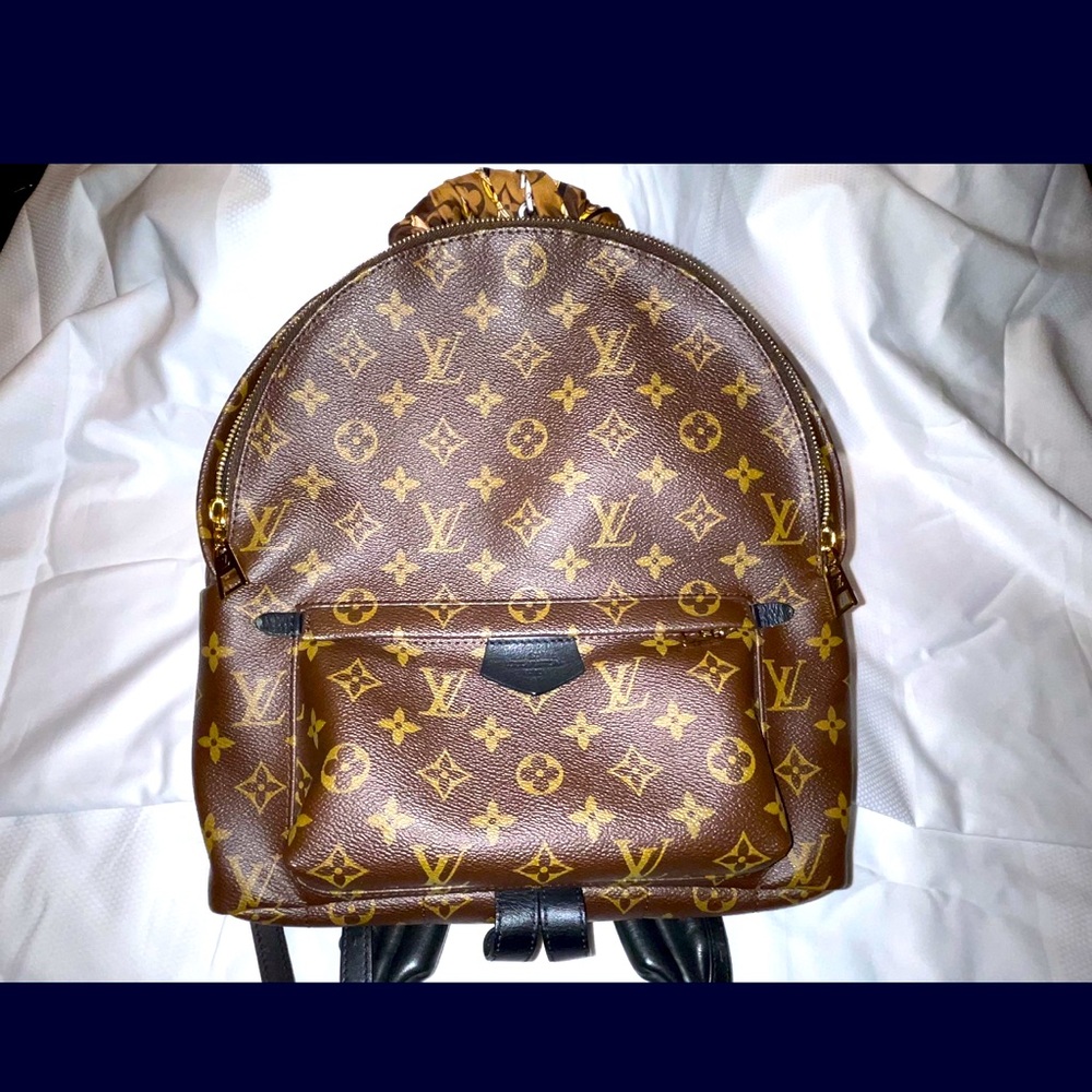 Louis Vuitton Palm Springs MM !! 💯 % Guaranteed Authentic!